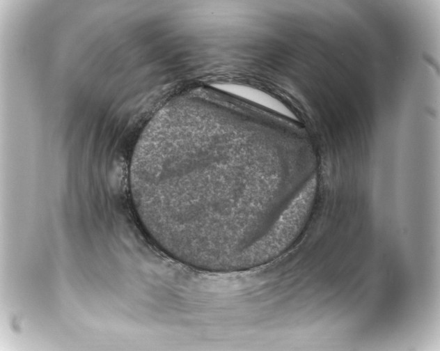 X0000100210029200806271714