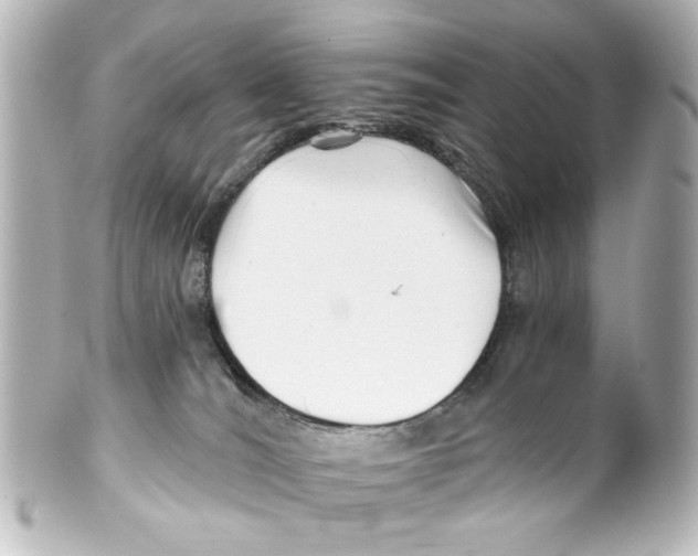 X0000100210036200806271714
