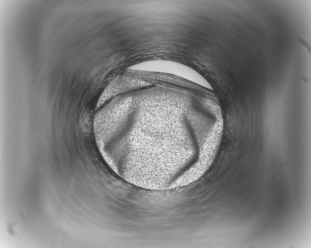 X0000100210037200806271714