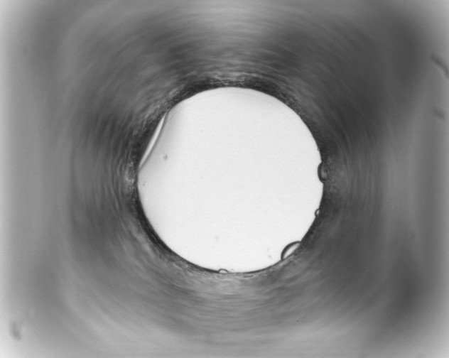 X0000100210040200806271714