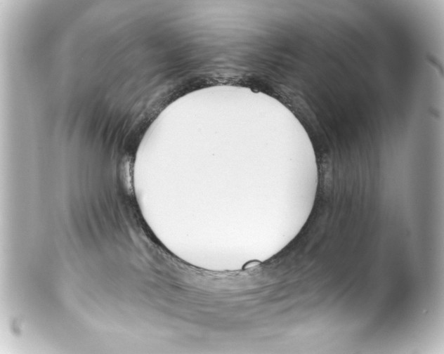 X0000100210042200806271714