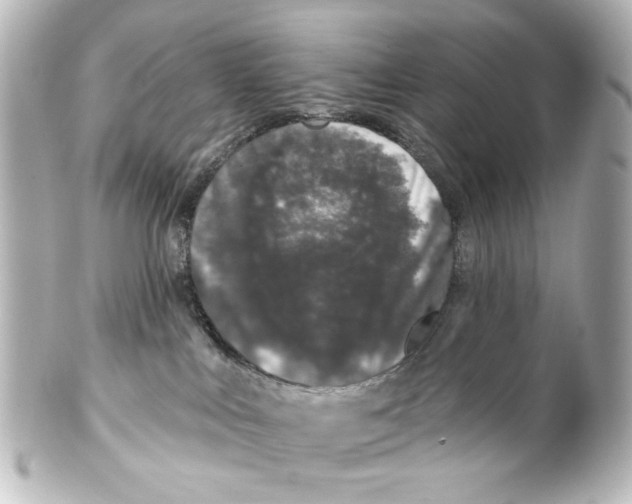 X0000100210043200806271714