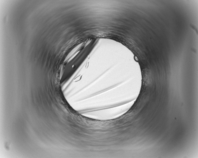 X0000100210044200806271714