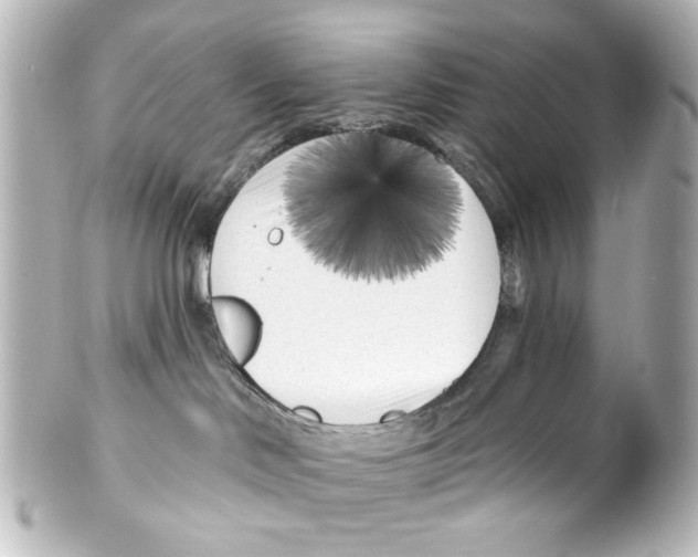 X0000100210046200806271714