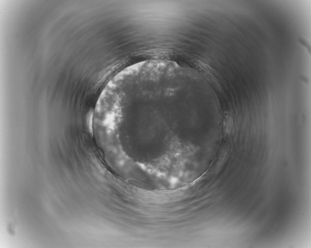 X0000100210047200806271714