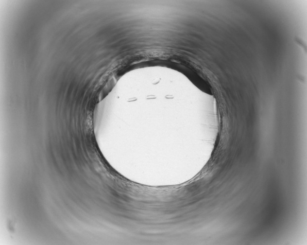 X0000100210048200806271714