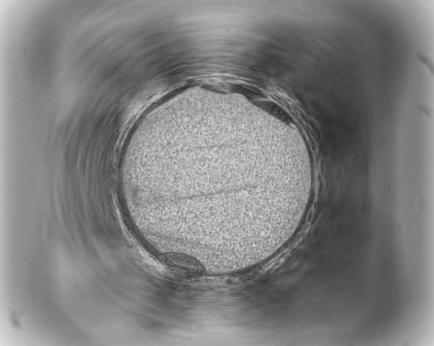 X0000100210049200806271713