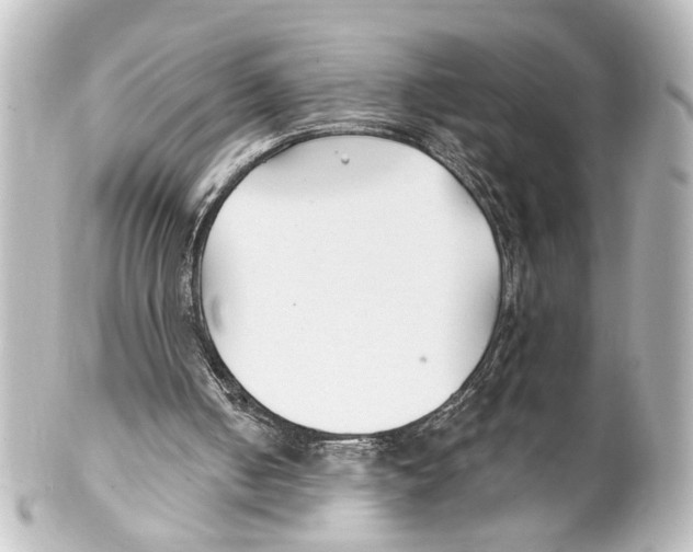 X0000100210050200806271713
