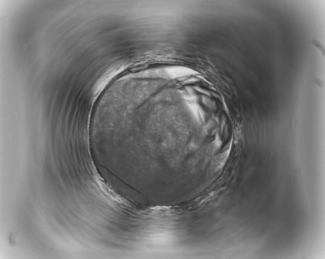 X0000100210052200806271713
