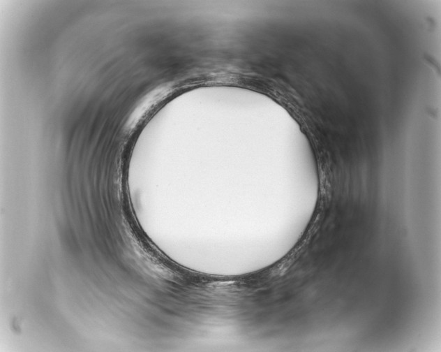 X0000100210054200806271713