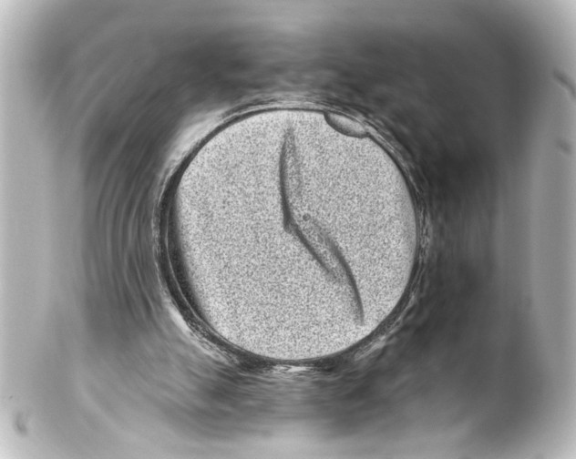 X0000100210055200806271713