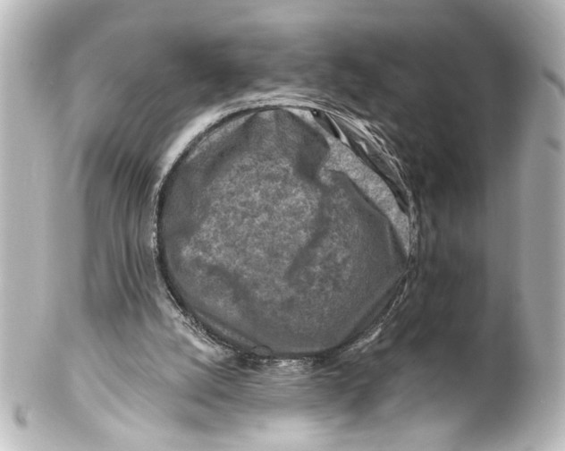 X0000100210056200806271713