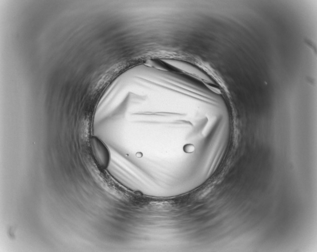 X0000100210057200806271713
