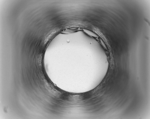 X0000100210058200806271713