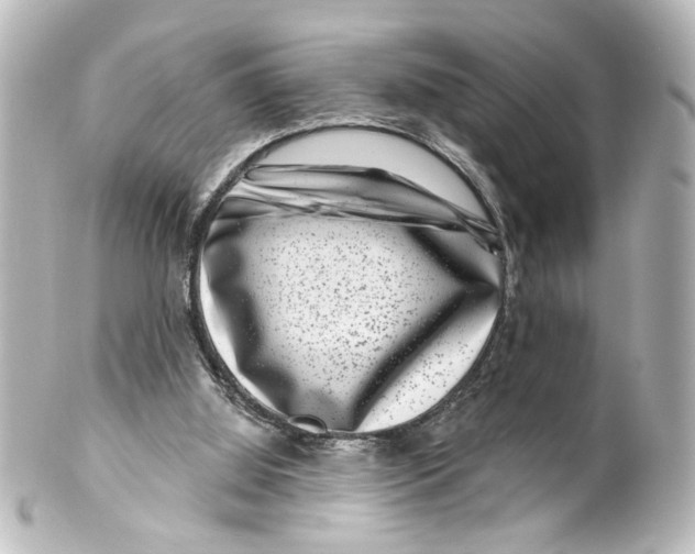 X0000100210060200806271713