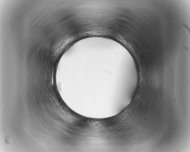 X0000100210062200806271713
