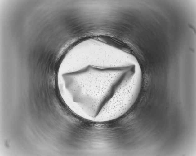 X0000100210064200806271713