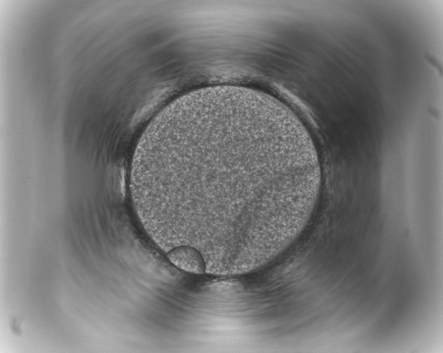 X0000100210067200806271713