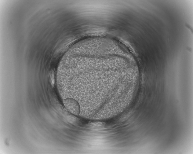 X0000100210069200806271713