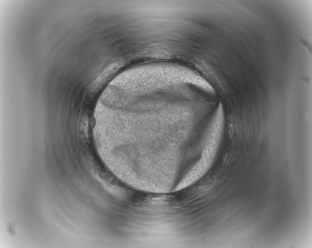 X0000100210072200806271713