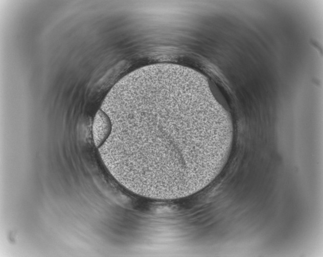 X0000100210073200806271713