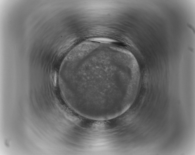 X0000100210076200806271714