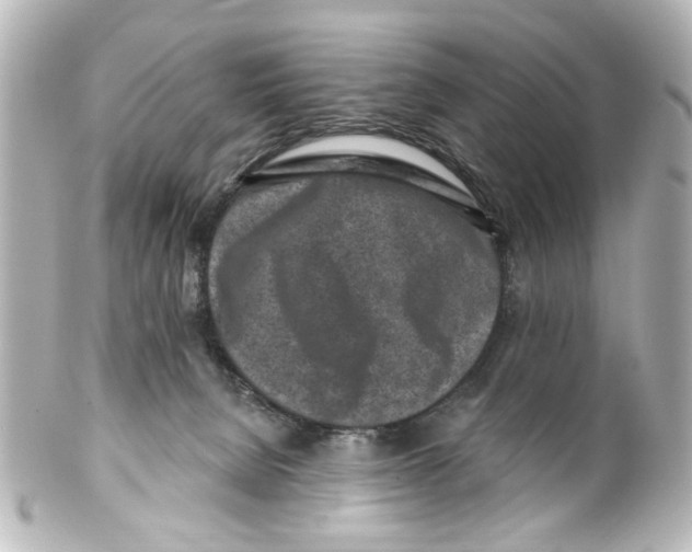 X0000100210080200806271714