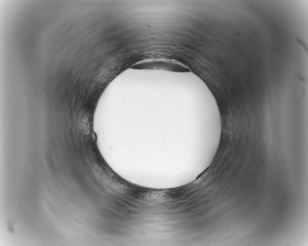 X0000100210086200806271714