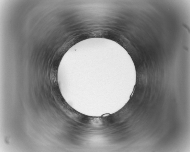 X0000100210091200806271714