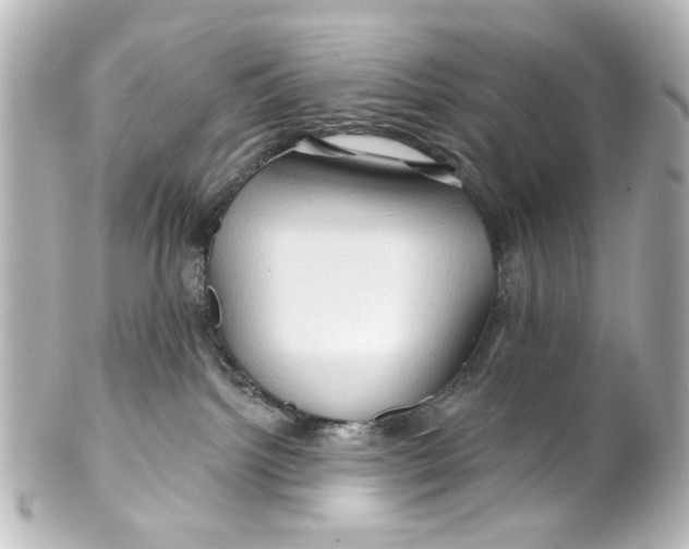 X0000100210092200806271714