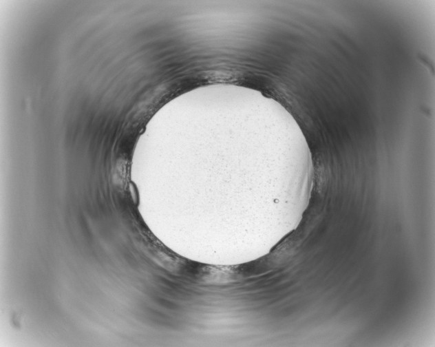 X0000100210093200806271714