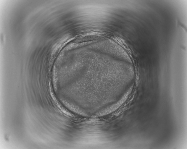 X0000100210097200806271713