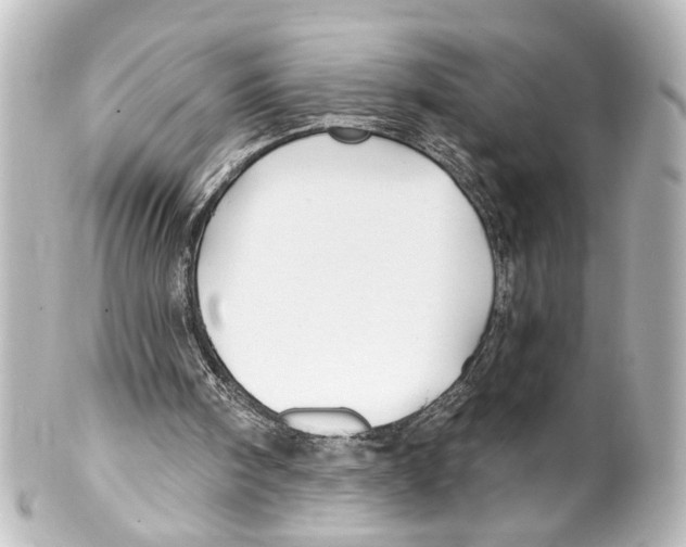 X0000100210098200806271713