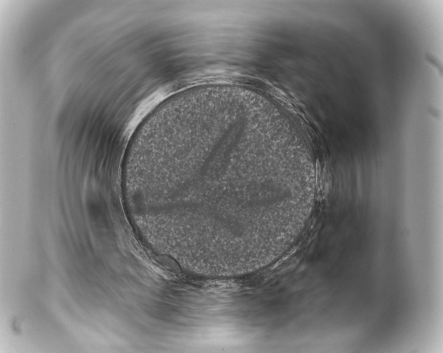 X0000100210099200806271713