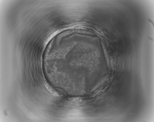 X0000100210100200806271713