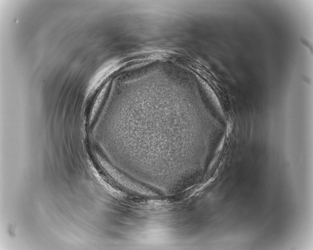 X0000100210101200806271713