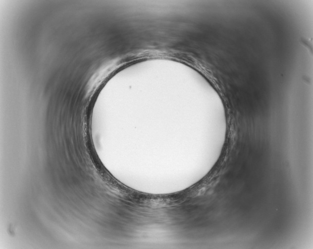X0000100210103200806271713