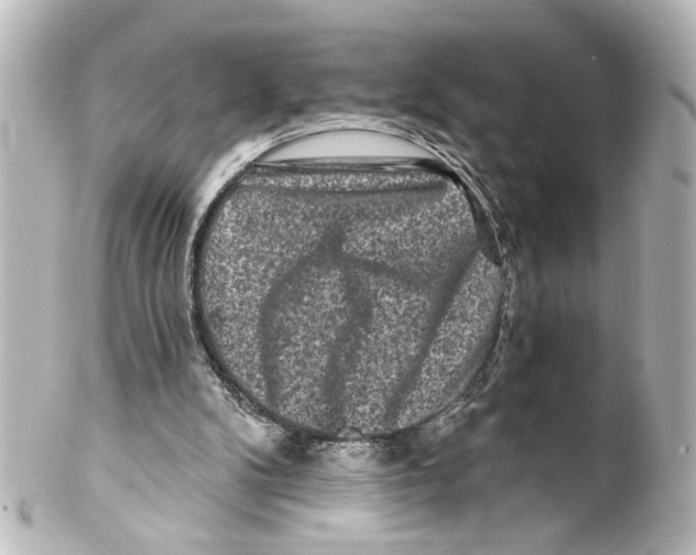 X0000100210104200806271713