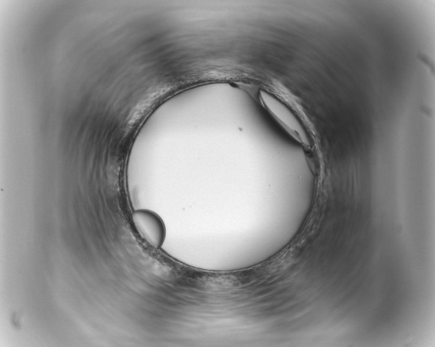 X0000100210106200806271713