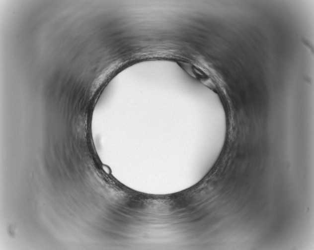 X0000100210107200806271713