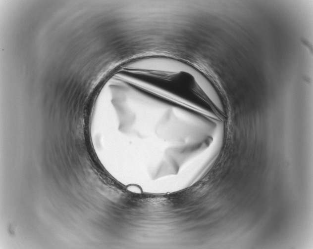 X0000100210108200806271713