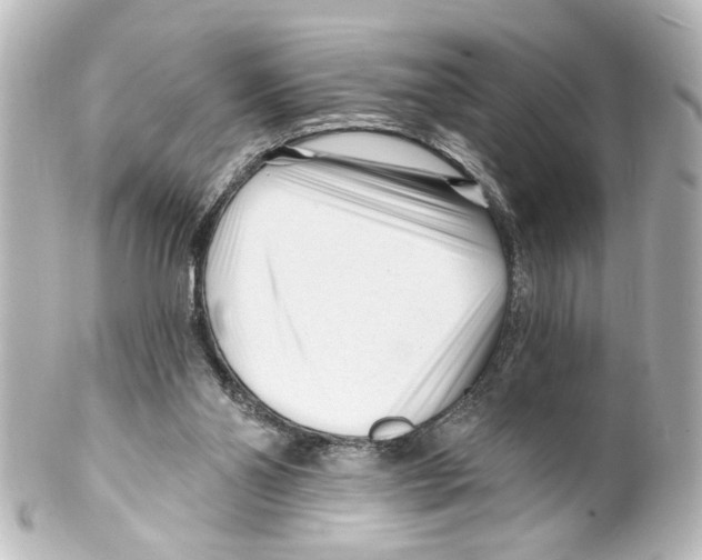 X0000100210110200806271713