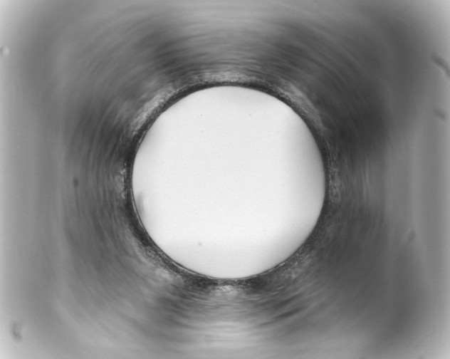 X0000100210111200806271713
