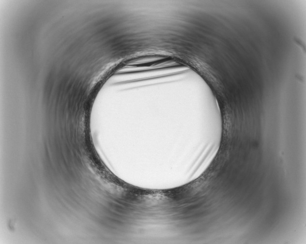 X0000100210112200806271713