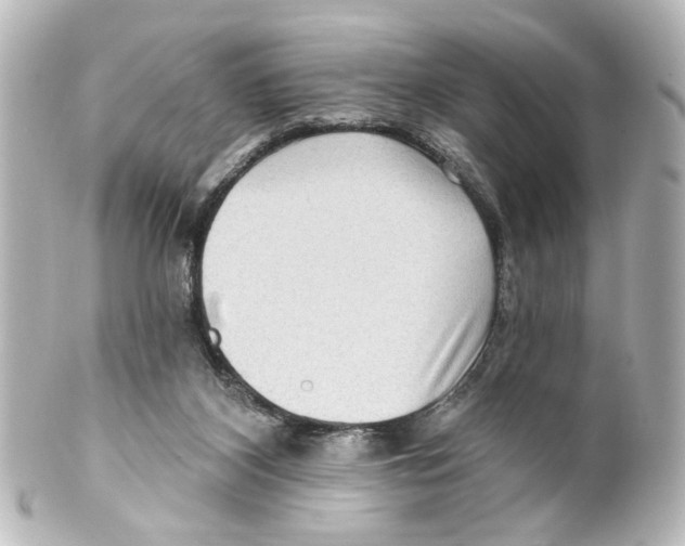 X0000100210116200806271713