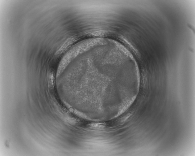 X0000100210117200806271713