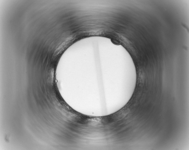 X0000100210118200806271713