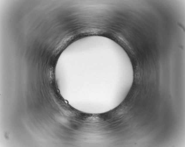 X0000100210119200806271713