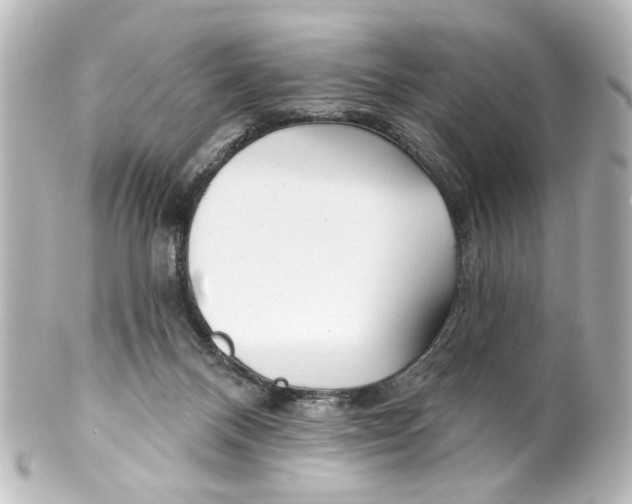 X0000100210120200806271713