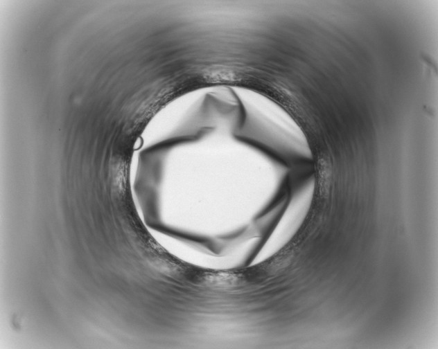 X0000100210125200806271713